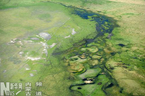 北疆的“綠色凈土”