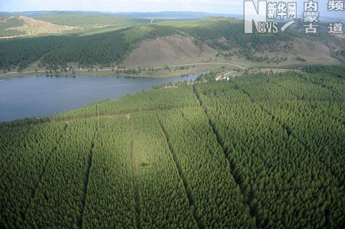 北疆的“綠色凈土”