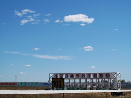 科爾沁右翼中旗——洪水中重生的馬術之鄉