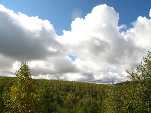 大興安嶺西側的綠色寶石——健康阿爾山