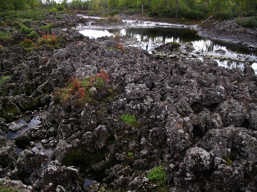石塘林風(fēng)光