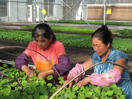 美麗富饒的通遼糧倉——科爾沁區