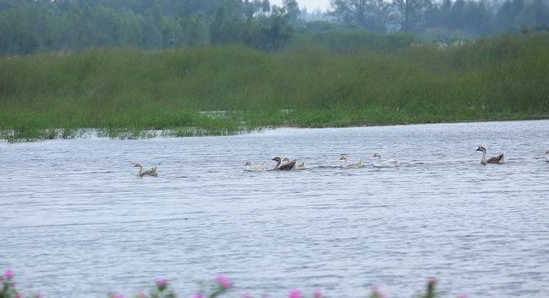 全國網媒游昌江：工業、旅游發展兩不誤的典范