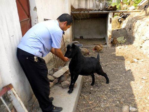 昆明警營(yíng)“菜園文化”創(chuàng)特色