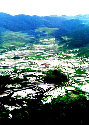 第四屆黔南旅發大會華麗開幕 魅力貴定感受布依風情