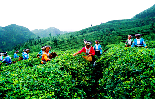 第四屆黔南旅發大會華麗開幕 魅力貴定感受布依風情