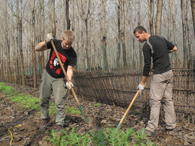 濱荷生態(tài)農(nóng)莊：遠(yuǎn)離城市喧囂的桃花源