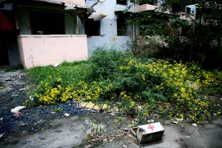 綿竹市漢旺鎮：在廢墟之中重生