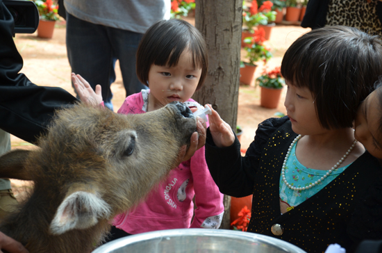 云南野生動物園“召開”六一活動檢閱會