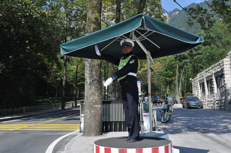 “黃山人的一天”系列報(bào)道站立在南大門的“黃山松”