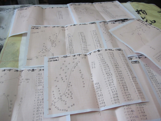 駐村干部蕭靜：繪制“村情致富地圖”