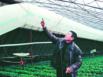 【新春走基層】老謝家的吸“氧”草莓不夠賣