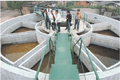 激活春水 快馬加鞭