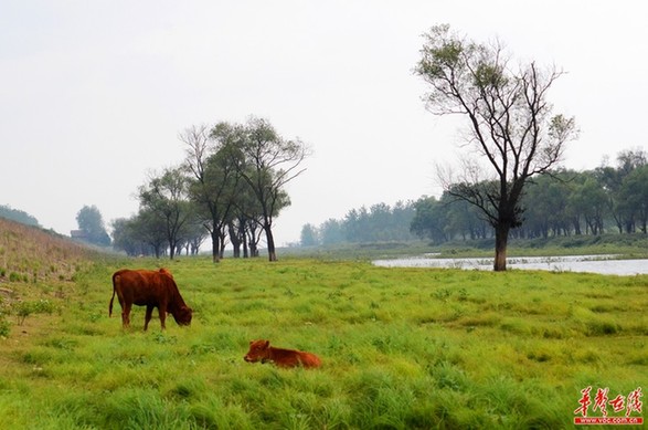 保護母親河之湘江如畫