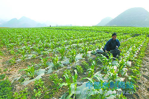 5年全國防洪減災直接經濟效益達8438億元