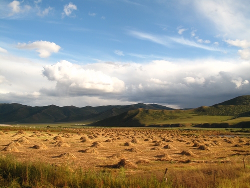 阿爾山草原風光