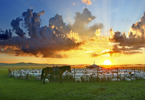 呼倫貝爾簡(jiǎn)介
