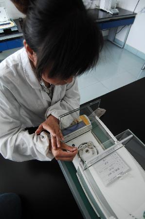 技術創新千年藏藥煥生機