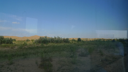 鄧京荊：庫布齊沙漠印象 變不毛之地為大漠綠洲