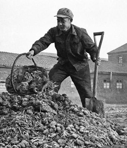 雷鋒撿糞支援人民公社