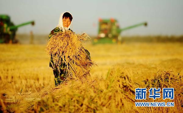 政府工作報(bào)告:新開工保障房700萬套