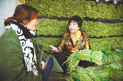 履職為民四年間