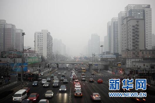 基層代表委員關注九大民生話題