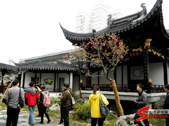 西部百億元村東嶺村百姓免費(fèi)上學(xué)住房年年分紅