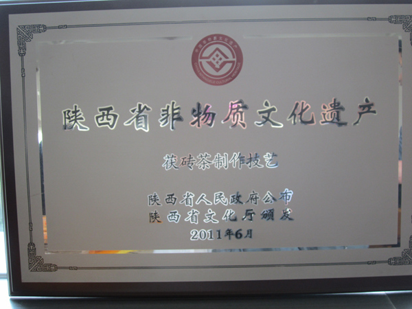 品涇渭茯茶 “憶”絲路流香 解“金花”奧秘