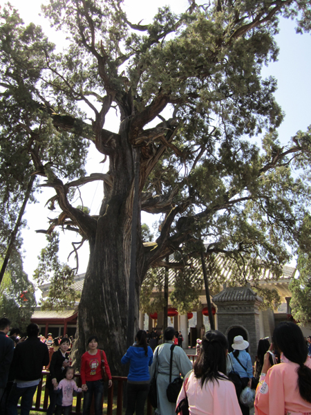 壬辰年清明公祭軒轅黃帝典禮花絮