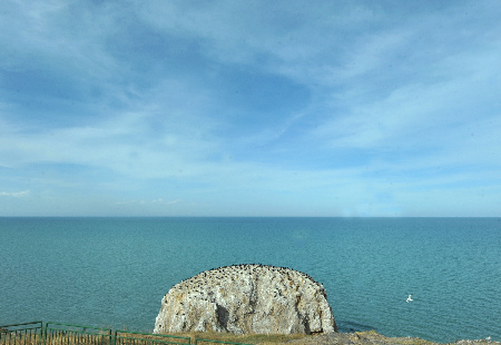 純美風光：春暖青海湖