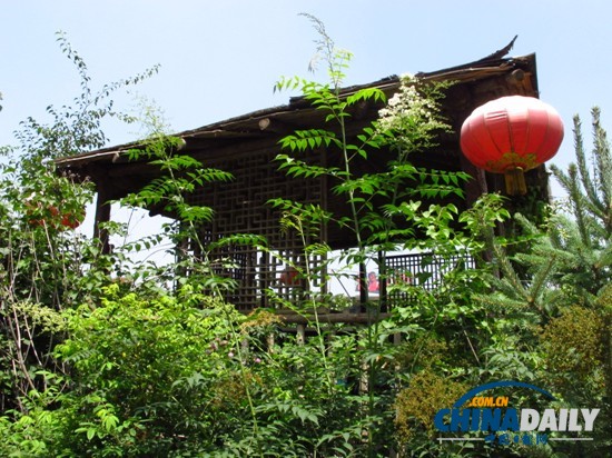 夏都西寧 多彩文化下釋放清新