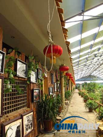 夏都西寧 多彩文化下釋放清新