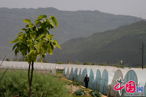 被沼氣改變的天雄村:廣元低碳重建的農業樣本