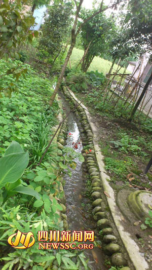 都江堰新農(nóng)村 來(lái)了就不想走