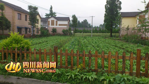 都江堰新農(nóng)村 來(lái)了就不想走