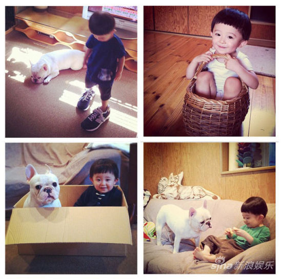 寶寶斗牛犬有愛合影萌翻網友(組圖)