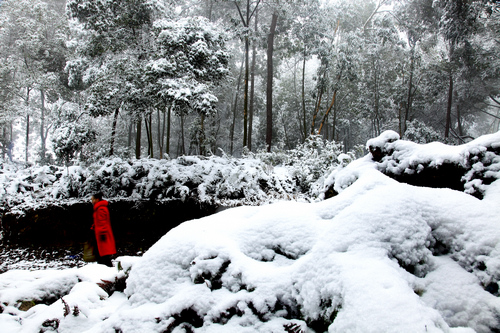 威遠縣慈姑塘雪景