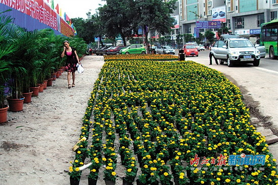 萬(wàn)事俱備 只待開(kāi)賽