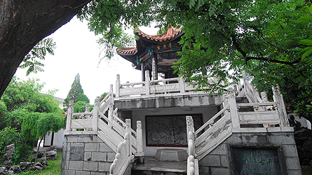 酒中牡丹：古井貢酒