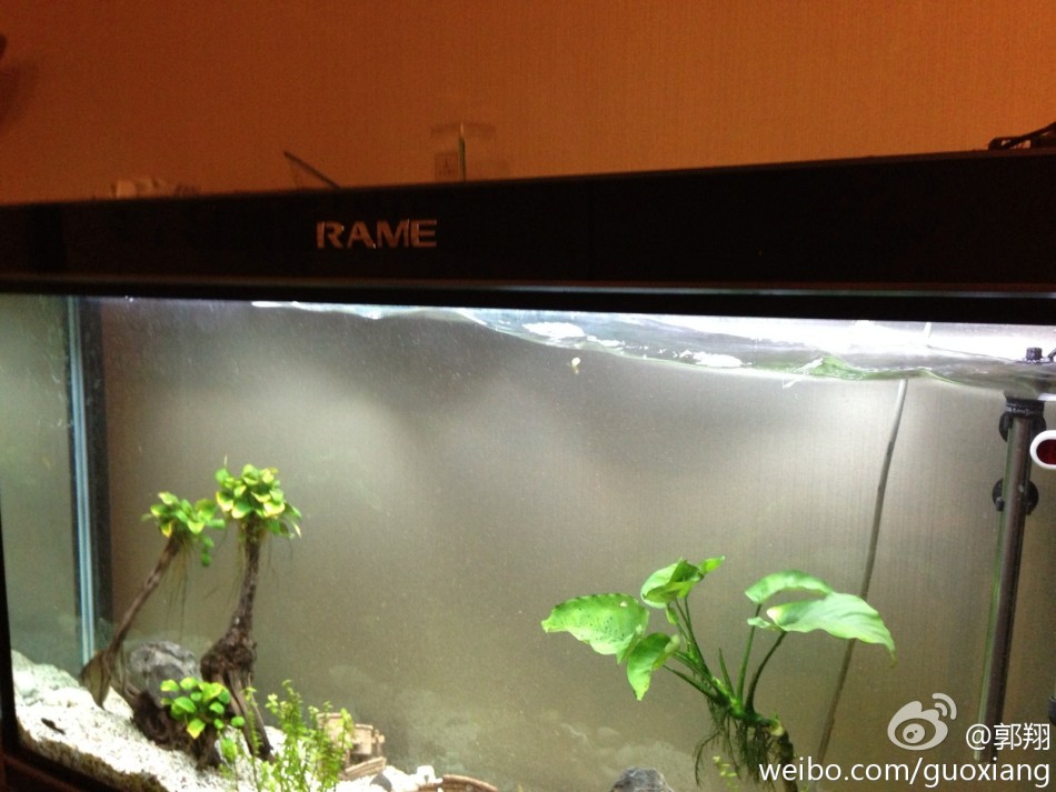 甘肅岷縣漳縣交界發(fā)生6.6級地震[組圖]