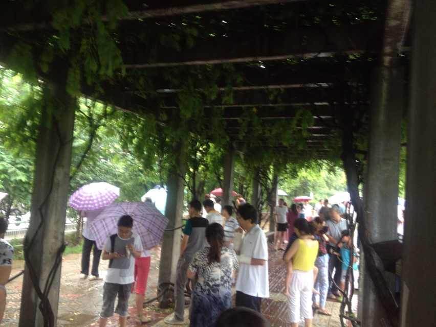 甘肅岷縣漳縣交界發(fā)生6.6級(jí)地震[組圖]