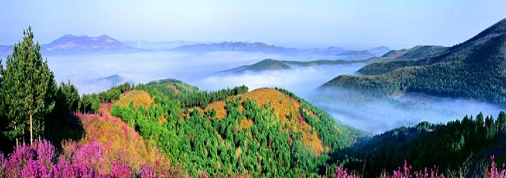 紫云嶺森林公園