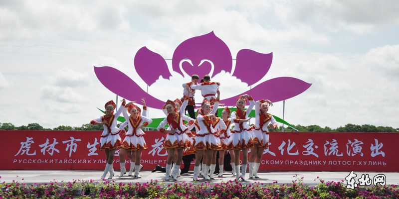 虎林市生態(tài)荷花節(jié)開幕 千畝野荷競綻放