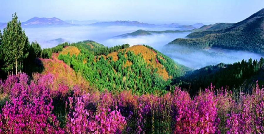 七星峰森林公園