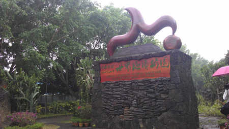 海南初見——海口進行時