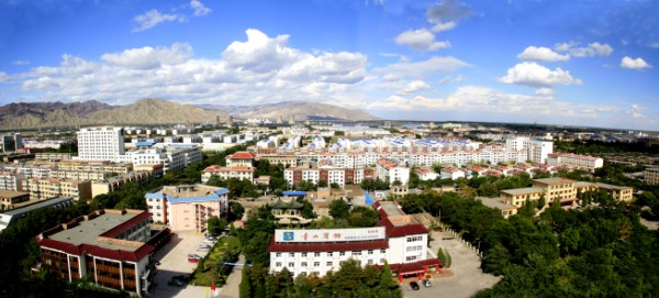 大武口區情簡介