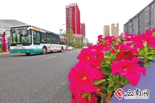 昆明迎南博整治市容市貌：讓春城這扇窗口更靚麗