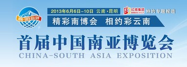 [南博會]昆明道路變通暢 市民出行心情舒暢