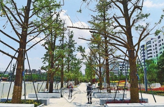 市民文明監督團與記者“驗收”昆明整治道路